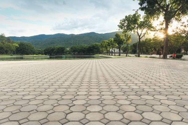 Best Driveway Paving Contractor  in Alcoa, TN