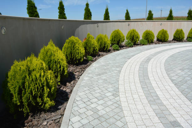 Best Decorative Driveway Pavers  in Alcoa, TN
